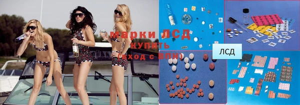 мяу мяу мука Иннополис