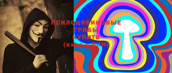 трава Инсар