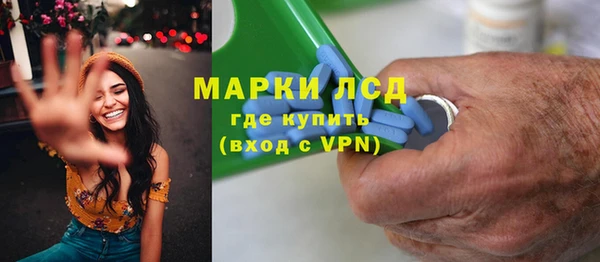 мяу мяу мука Иннополис