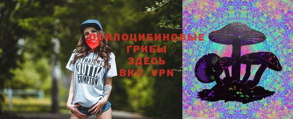 мяу мяу мука Иннополис