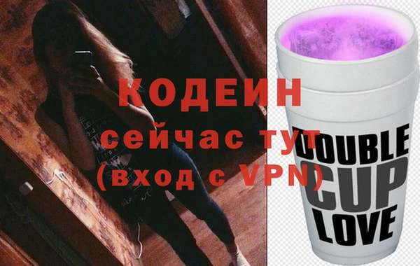 мяу мяу мука Иннополис
