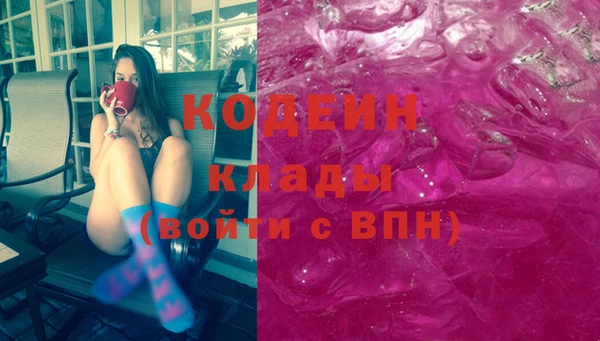 мяу мяу мука Иннополис