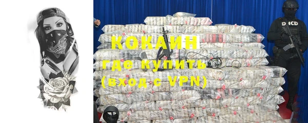 мяу мяу мука Иннополис