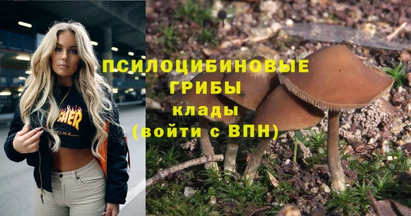 трава Инсар