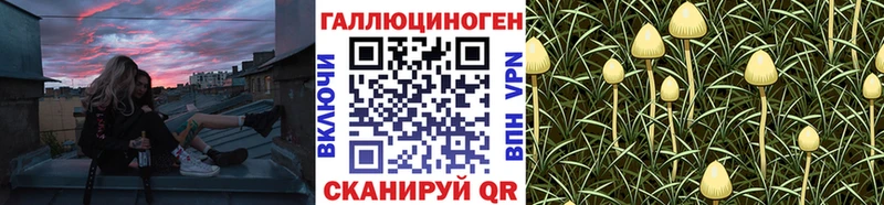 Купить  Верхняя Тура  Псилоцибиновые грибы мицелий 