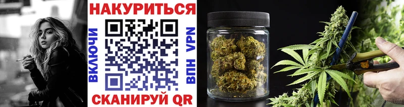 Бошки Шишки White Widow  Купить  Верхняя Тура 